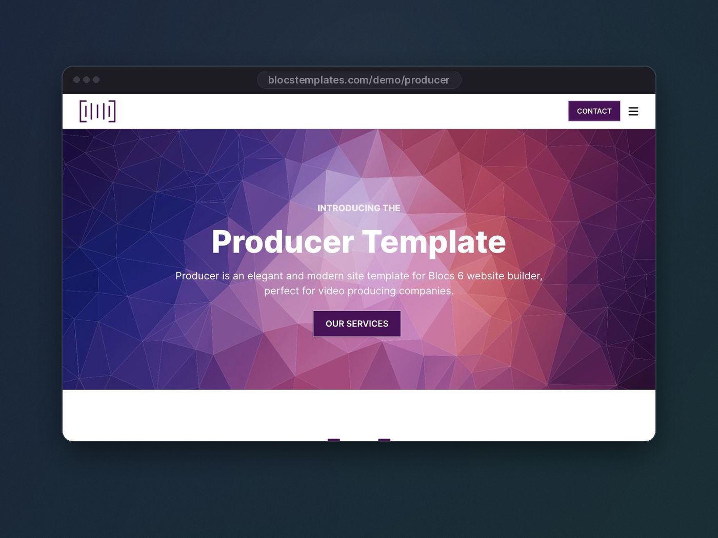Producer template for Blocs website builder