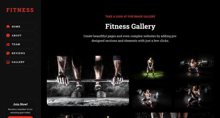 Fitness template — Gallery page