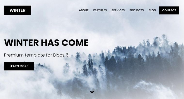 Winter template — Homepage page